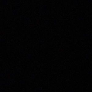 Meet your Posher, Elisa